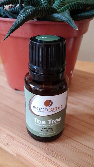 tea tree oil for plantar warts